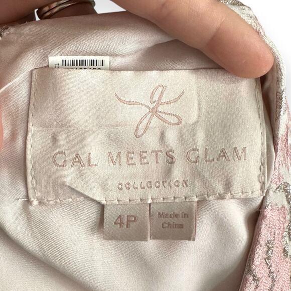 Gal Meets Glam Adair Pink Metallic Floral Print Fit N Flare Dress Womens Size 4P - Picture 10 of 11